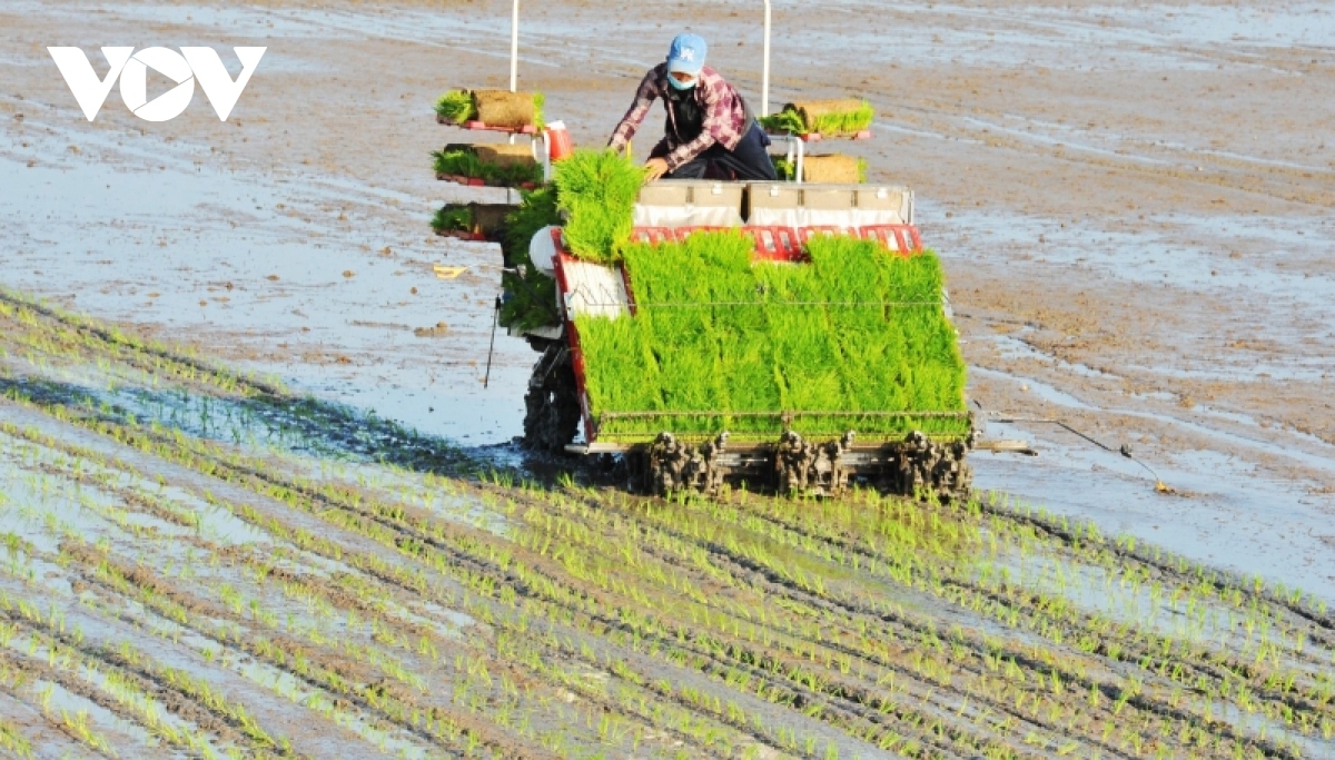 Giá phân “nhảy múa”, hạ nhiệt bằng các giải pháp trong nông nghiệp