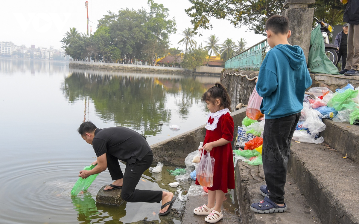 Cá chép tiễn ông Công ông Táo chết hàng loạt, sư thầy đi dọn rác ven hồ