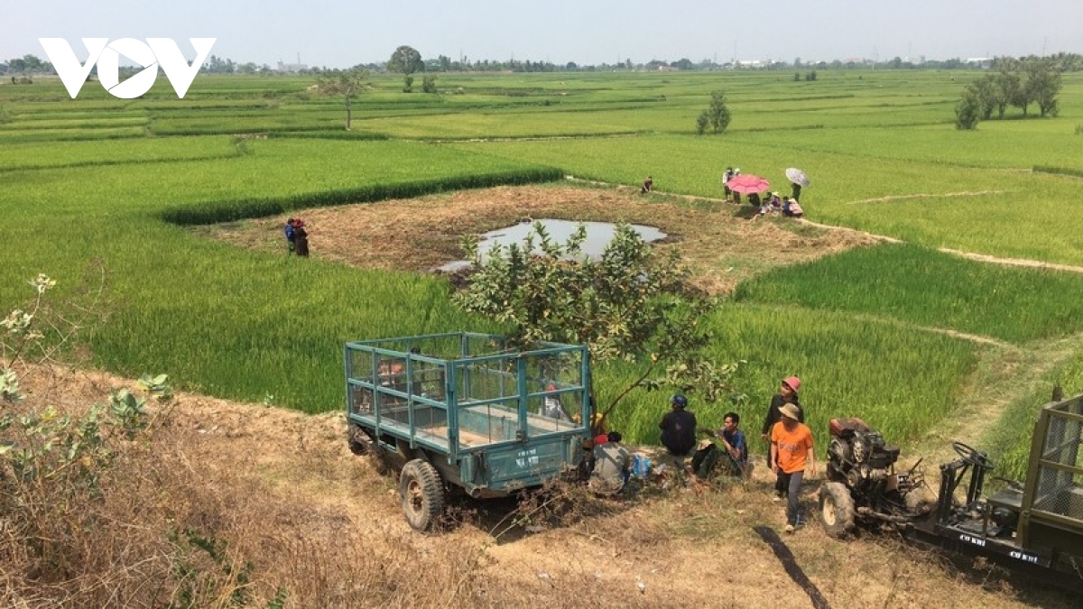 Bé trai tử vong ở đầm lầy