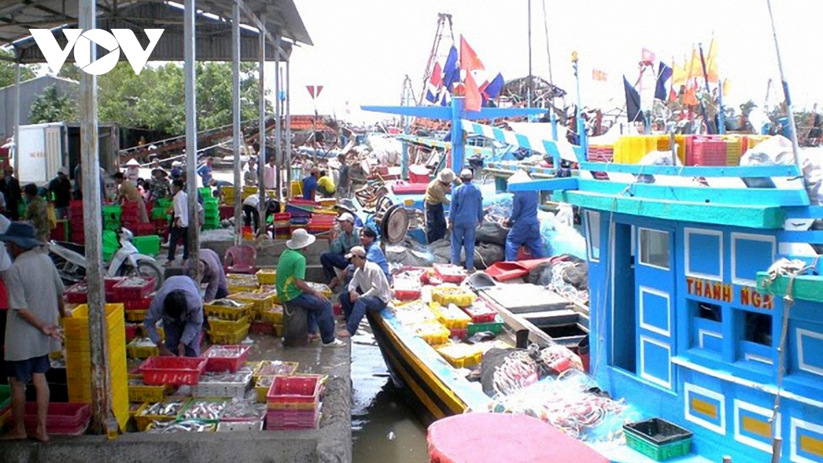 Trà Vinh tập trung khắc phục các hạn chế trong phòng chống khai thác IUU