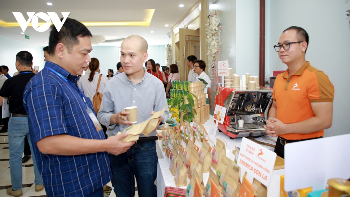 Sơn La làm gì để phát triển bền vững, nâng tầm giá trị cà phê?
