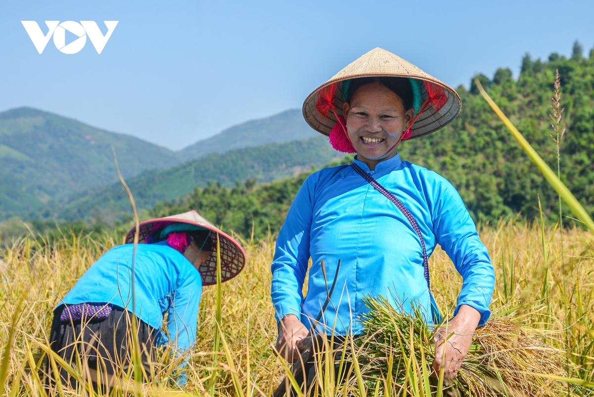 Hàng trăm tỷ đồng hỗ trợ người dân đóng BHXH tự nguyện ở Quảng Ninh