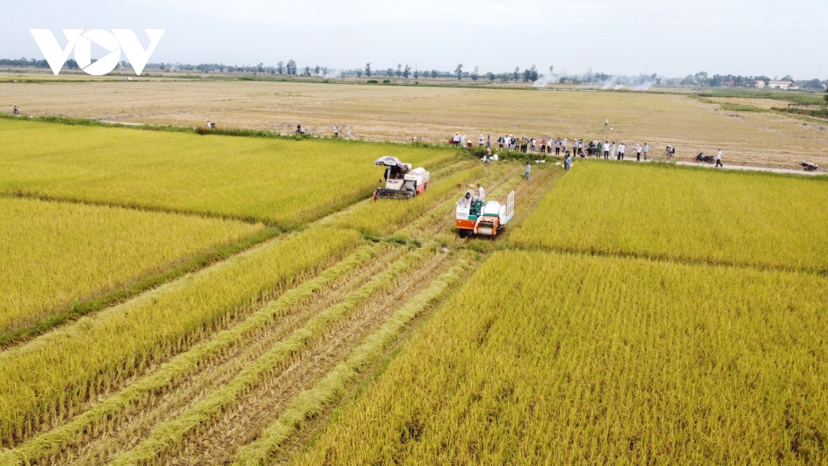 Quảng Trị xây dựng vùng chuyên canh nông sản hữu cơ xuất khẩu