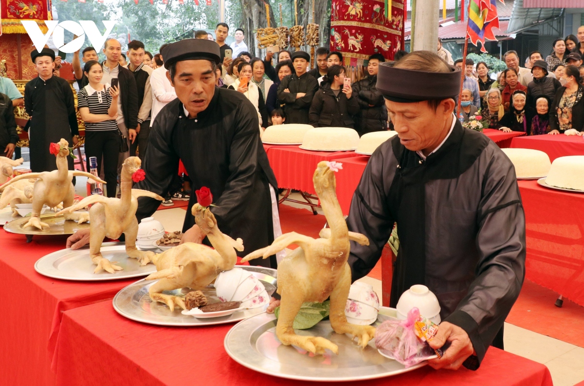 Đặc sắc “lễ xôi - gà” nhập đình ở Bắc Ninh