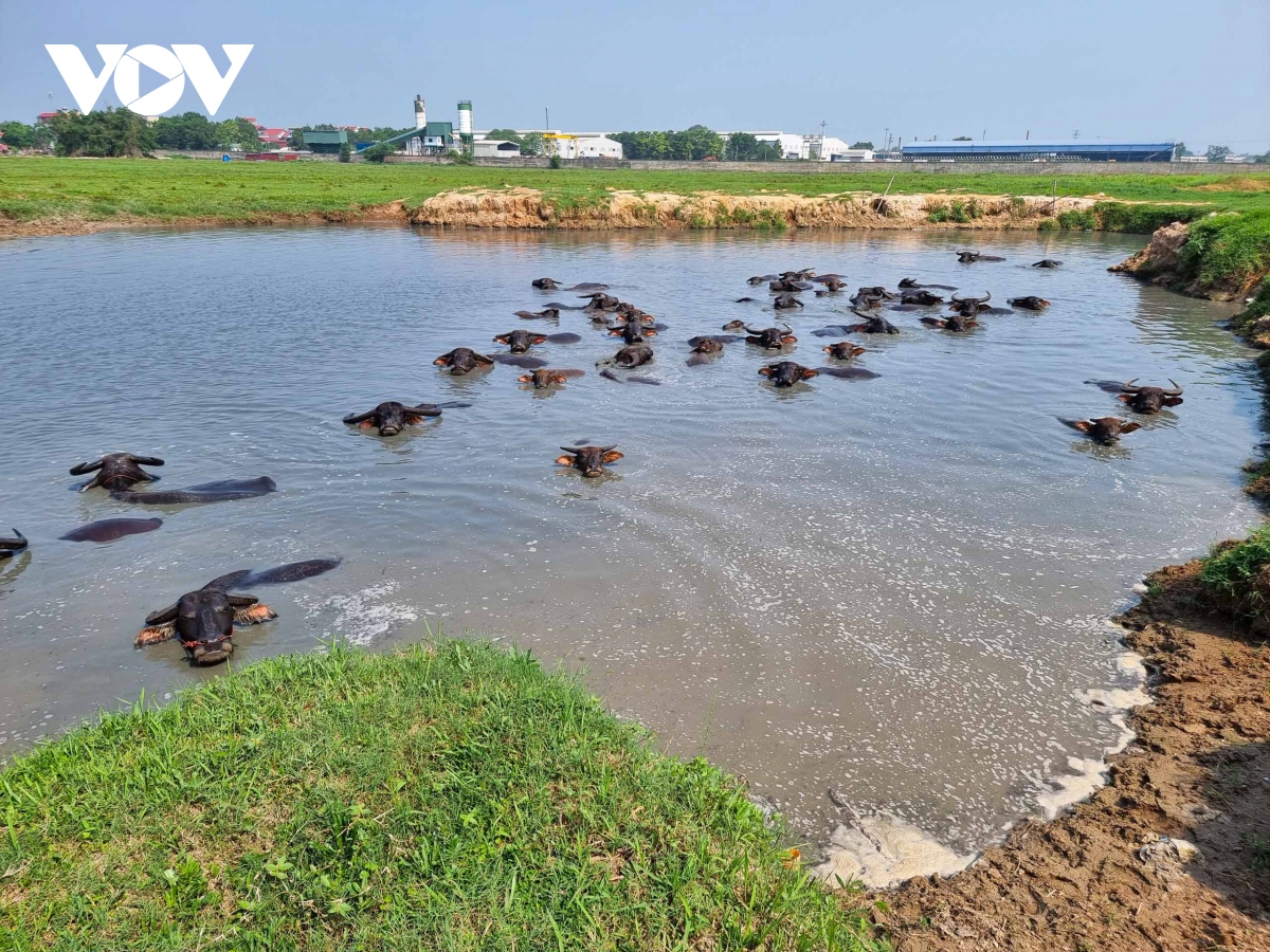 Hàng loạt dự án chậm tiến độ làm khổ người dân ở Bắc Ninh