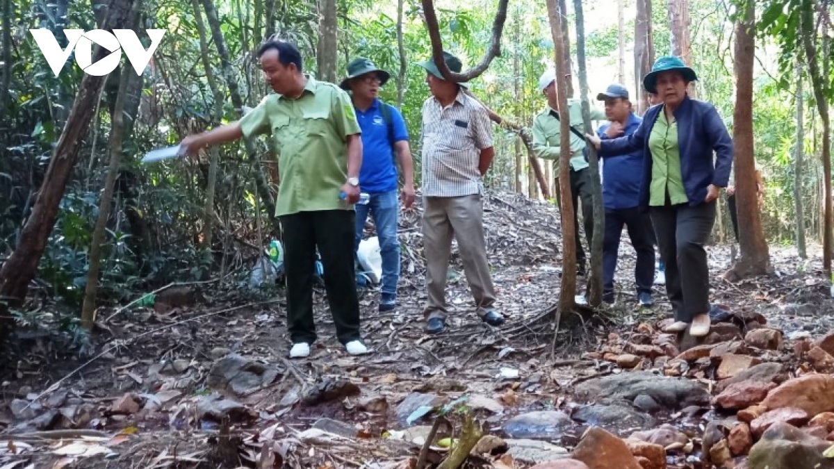 Núi Cậu Dầu Tiếng khoác "áo giáp" phòng cháy trong mùa khô