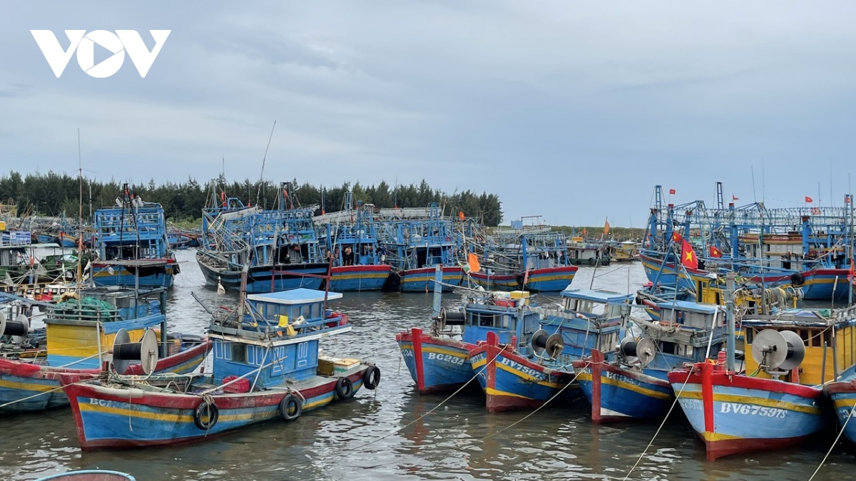 Bà Rịa Vũng Tàu sẽ hoàn thành việc cấp số tạm cho tàu cá “3 không”