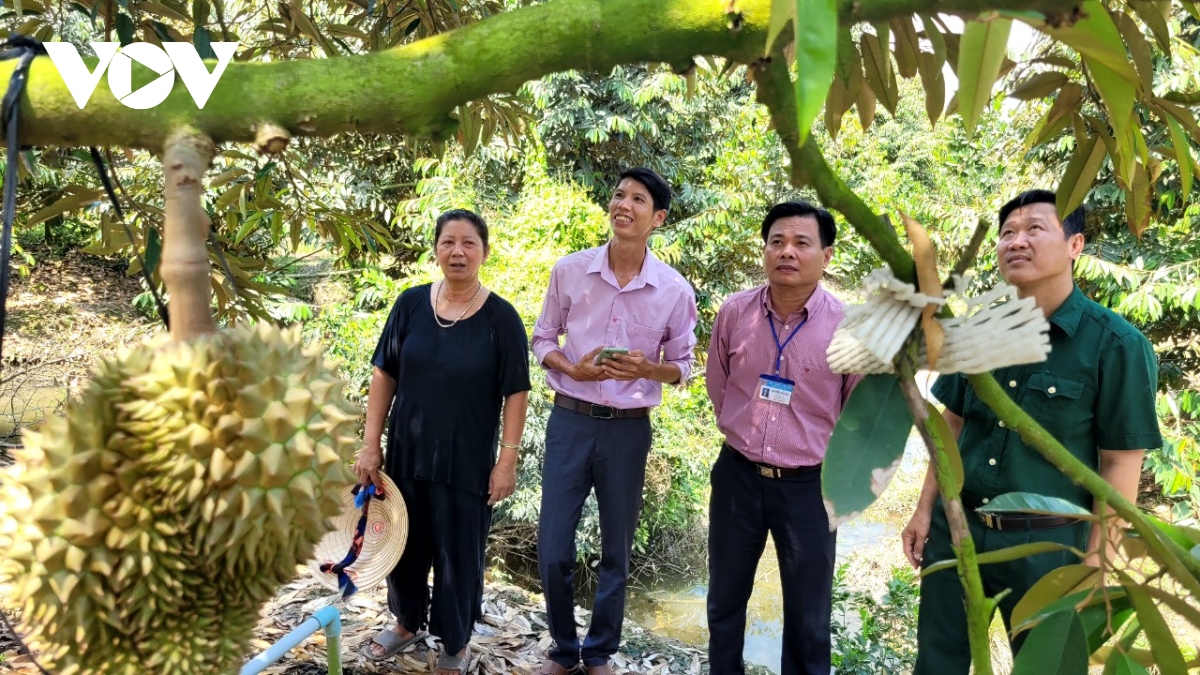 Mỹ Lợi A (Cái Bè, Tiền Giang) - Vùng đất chuyển mình