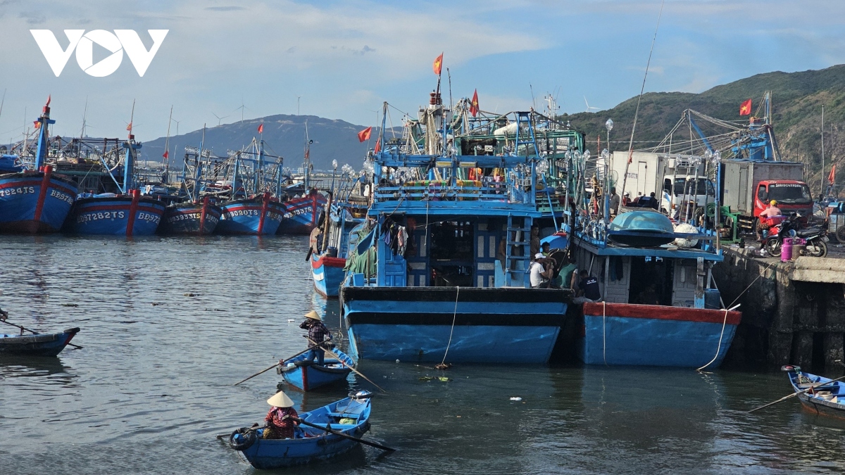 Ngư dân lo lắng việc di dời tàu cá neo đậu ở cảng Quy Nhơn về đầm Đề Gi