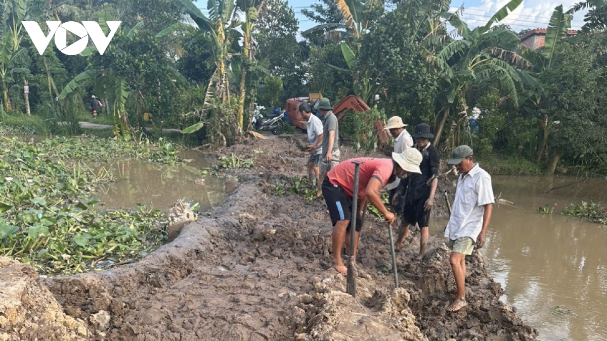 Khẩn trương khắc phục các điểm sạt lở ven bờ sông tại huyện Chợ Lách