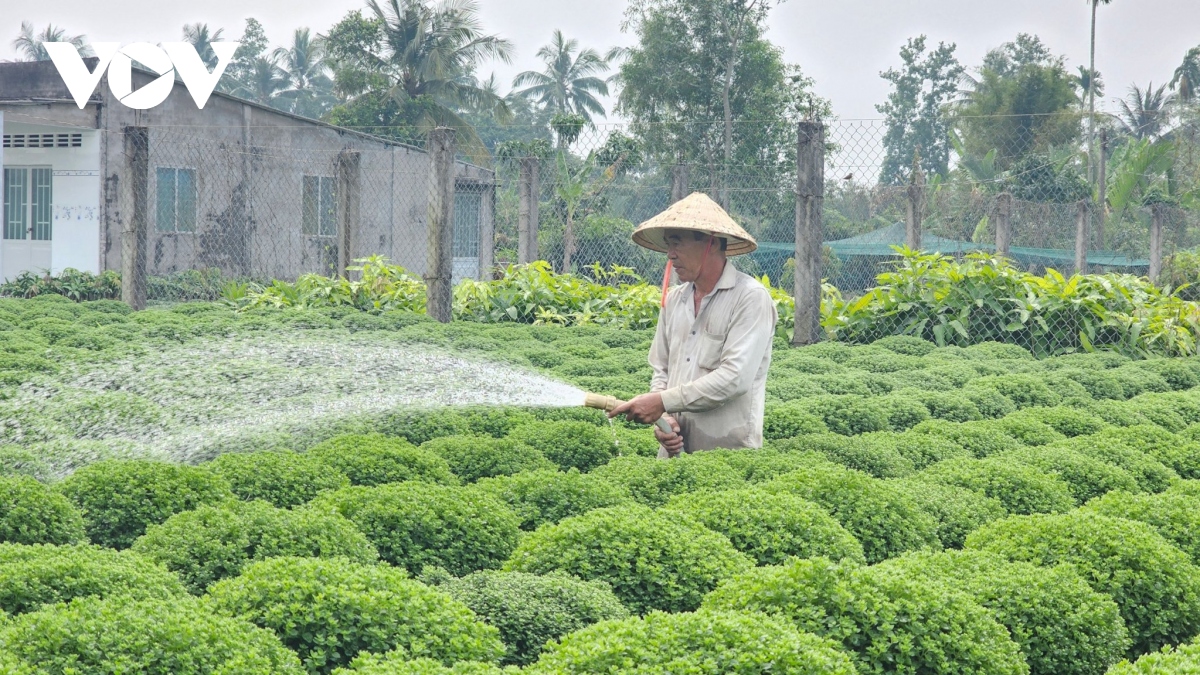 Một huyện ở Bến Tre có đến hơn 52.800 nông dân sản xuất giỏi các cấp