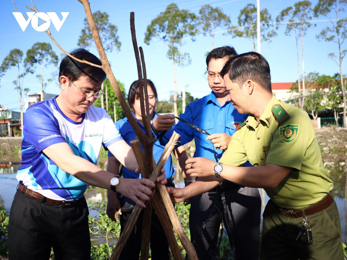 Phát động trồng cây “Tuyến đường xanh Mekong Delta Marathon 2024”