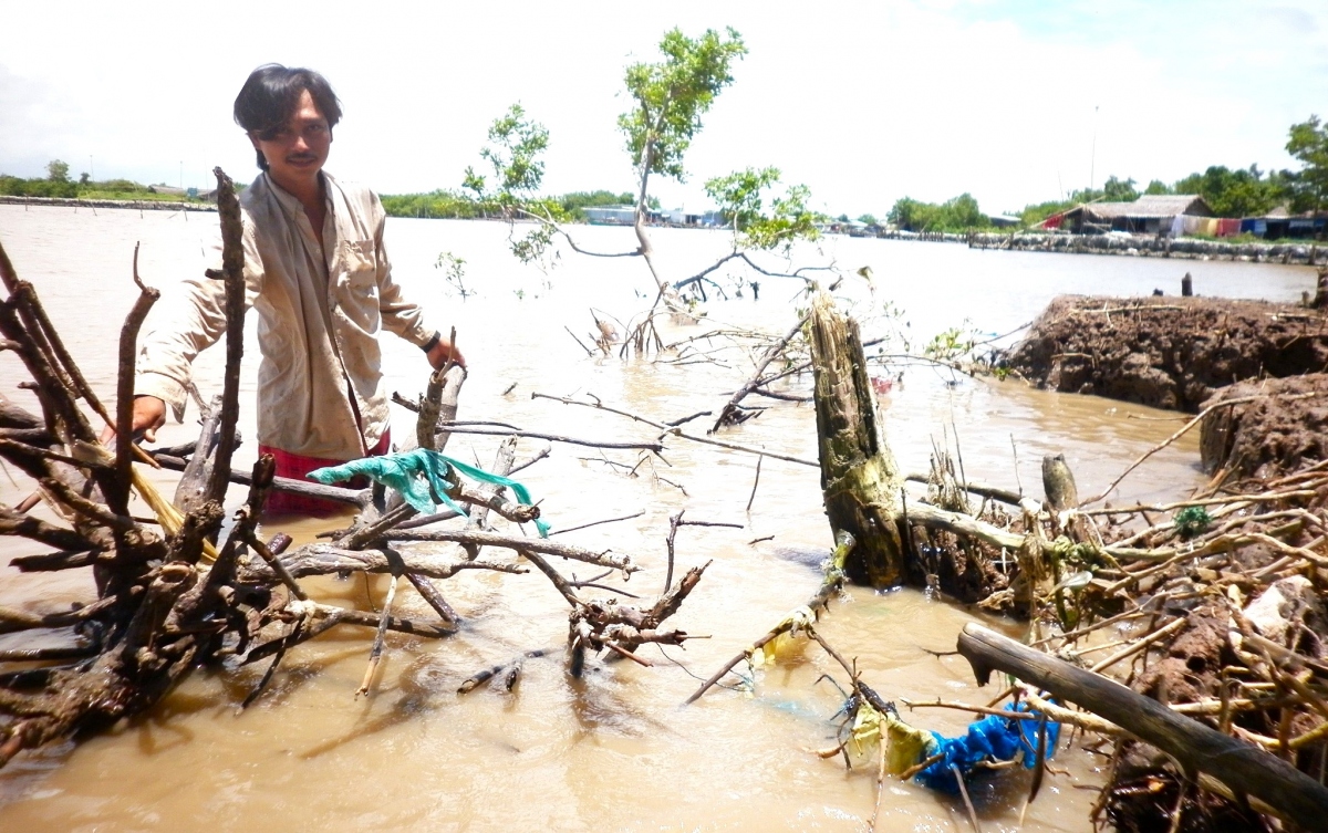 Cà Mau có 187km đường bờ biển, 425km đường bờ sông bị sạt lở